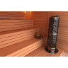 Электрическая печь SAWO DRAGONFIRE DRFT6-120NS-P (12 кВт, выносной пульт, нержавейка)